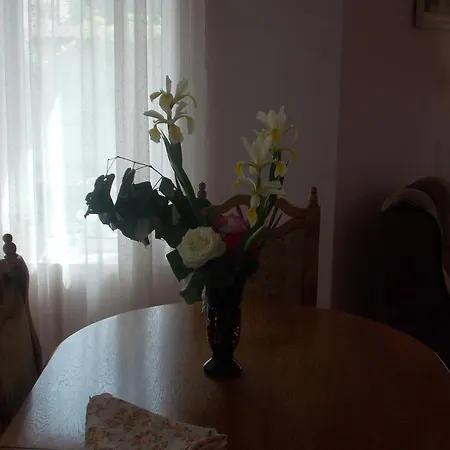 Vila 9 Mai Эфорие-Суд